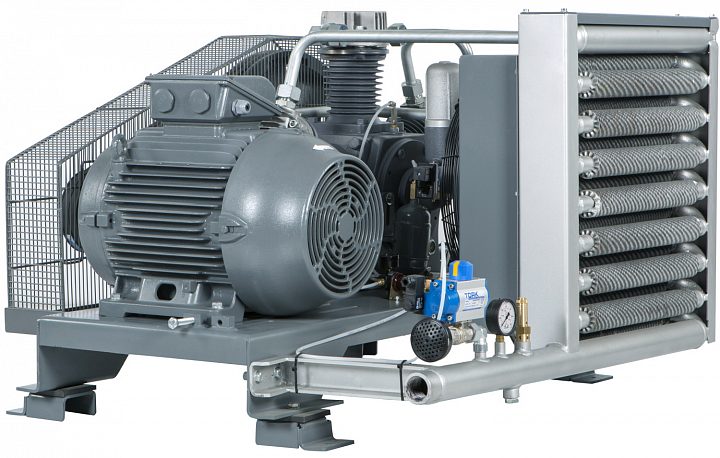 Поршневой компрессор Dalgakiran DBK GP-30 10 (с пультом)